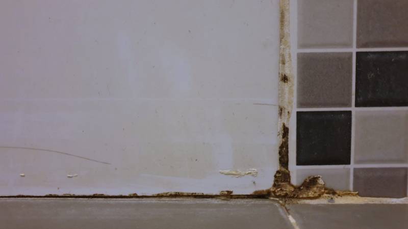 black mold growing on shower grouted | how to recaulk a bathtub 