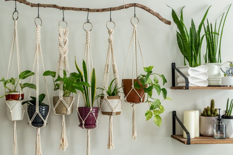 six-handmade-cotton-macrame-plant-hangers | macrame planter
