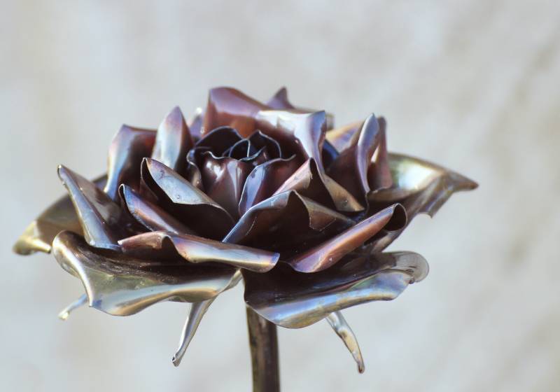 Close up portrait of a iron rose | Metal Roses