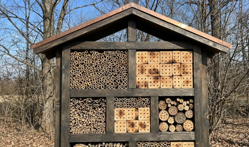 bee hotel