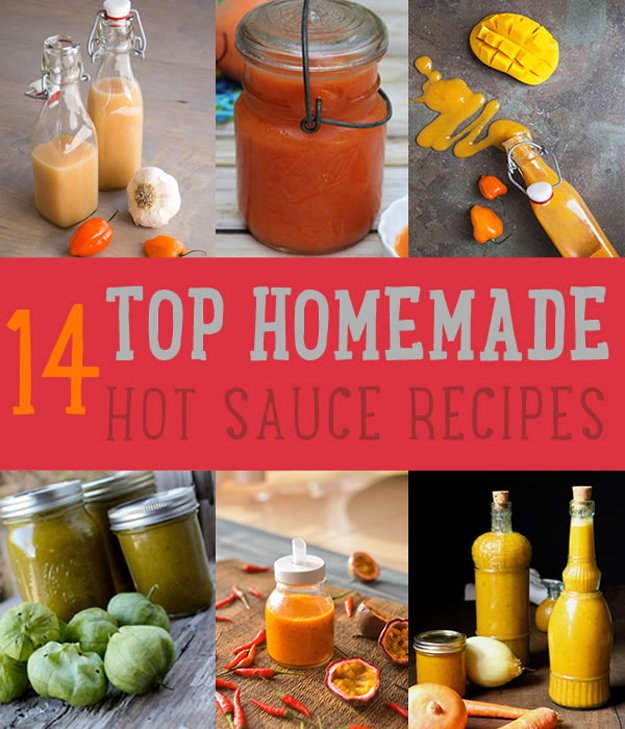 Top (Delicious) Hot Sauce Recipes You Can Make | https://diyprojects.com/homemade-hot-sauce-recipes/