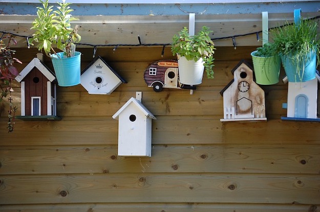 Bird House Ideas