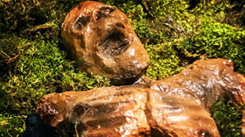 Feature | Halloween Decorating Ideas | DIY Decayed Corpse Props