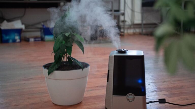 DIY Humidifier | How To Make A DIY Humidifier To Improve Air Quality In Your Home | Featured