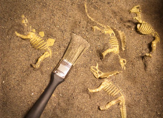 table top, table tops, dinosaur fossils, dino dig, digging games, fossil games, dinosaur fossil, dinosaurs fossils, fossils for kids, kids games, games for kids, kid games