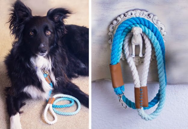 Ombre Rope Dog Leash Ombre Rope Dog Leash | DIY Pet Projects