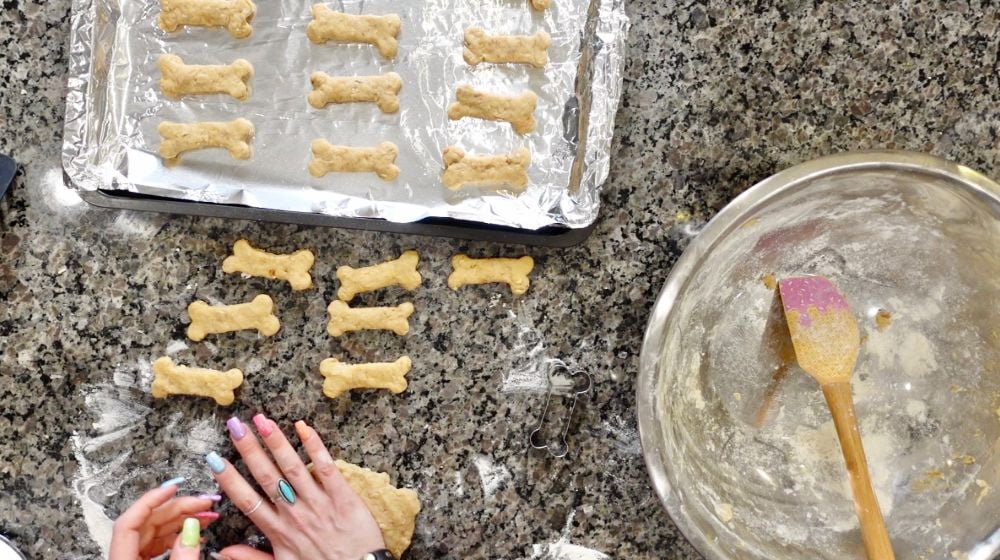 Peanut Butter Honey Dog Treats Honey Dog Treats | Featured
