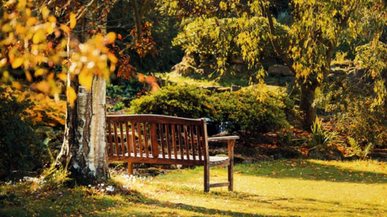 Feature | | 21 DIY Front Yard Makeover Ideas You'll Love