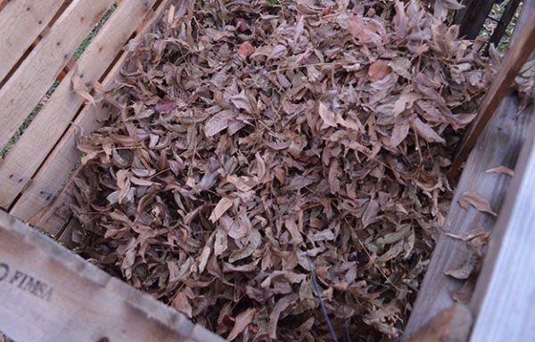 compost-bin-instructions