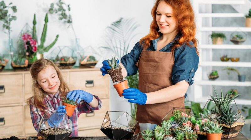 diy florarium family business hobby mother | Terrarium Plants You Can DIY With Your Kids This Weekend | featured