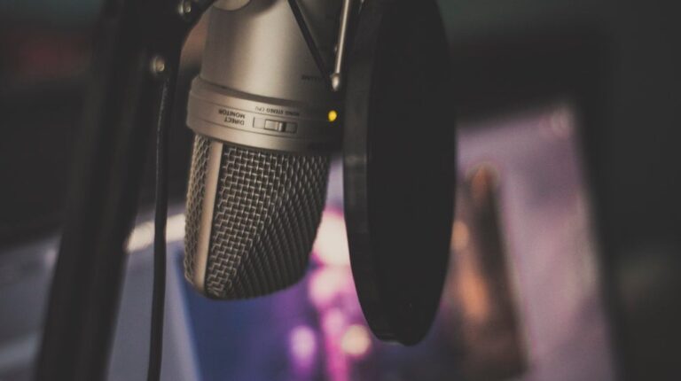 Focus photography of gray condenser microphone | Make A DIY Vocal Booth And How To Start Your Own Podcast | Featured
