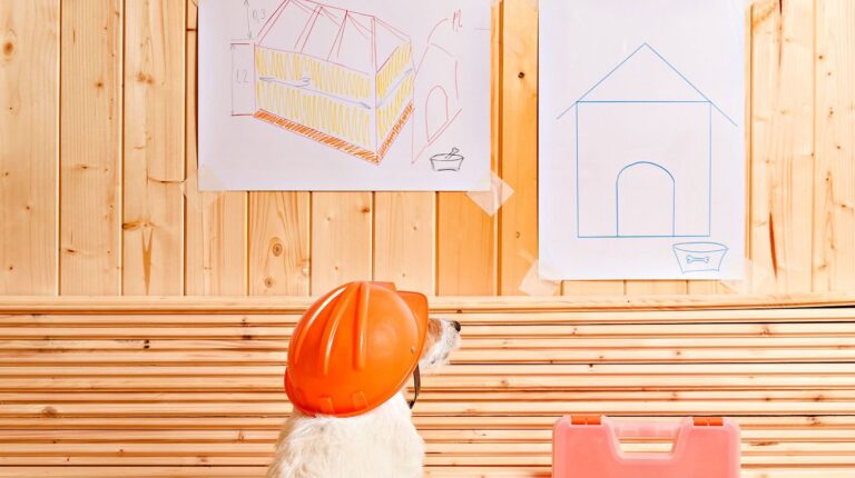 Dog as funny constructor with hardhat looking at blueprint of kennel | Awesome DIY Pet Projects To Keep Your Furry Friends Happy | Featured