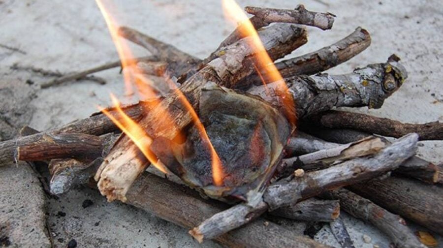 firestarter made out of egg cartons | Learn How To Make Fire Starters Out Of Egg Cartons | Featured