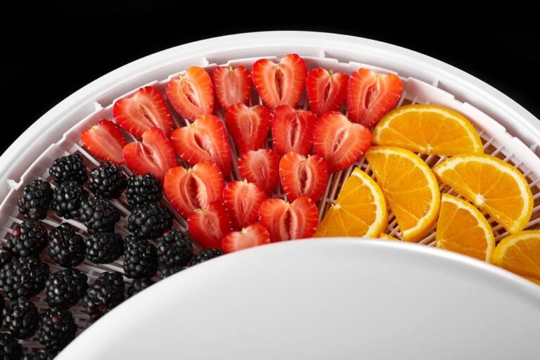 fresh-fruits-berries-mushrooms-sliced-slices | How To Make A DIY Freeze Dryer For Your Kitchen | Featured