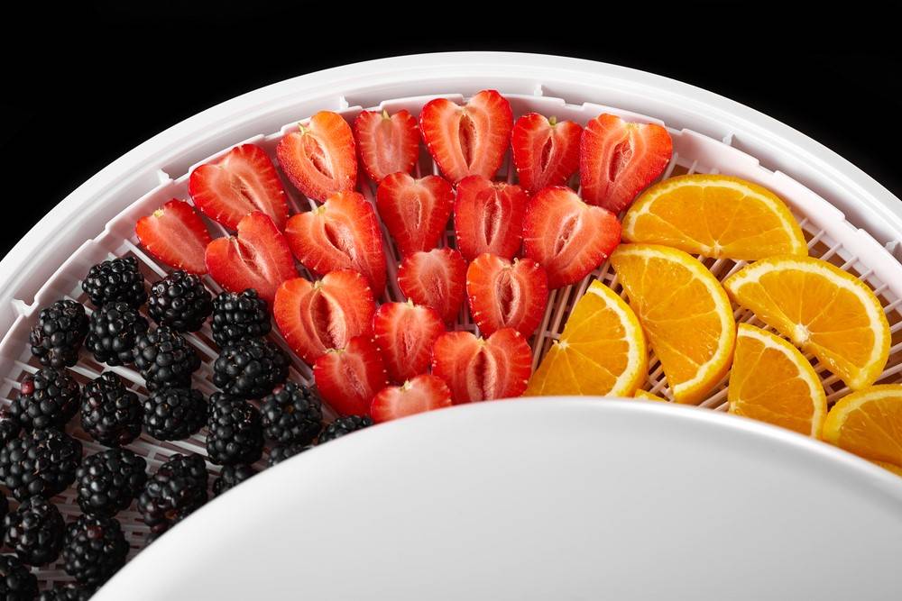 fresh-fruits-berries-mushrooms-sliced-slices | How To Make A DIY Freeze Dryer For Your Kitchen | Featured
