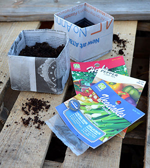 newspaper seedling pots how to make