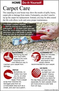 carpet care