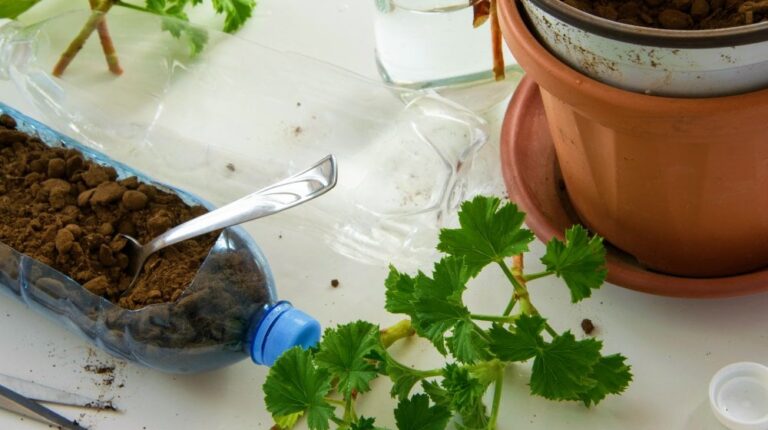 Recycled Plastic Bottle Gardening | Upcycle Your Plastic Bottles With These DIY Projects To Save The Earth | plastic water bottle | Featured