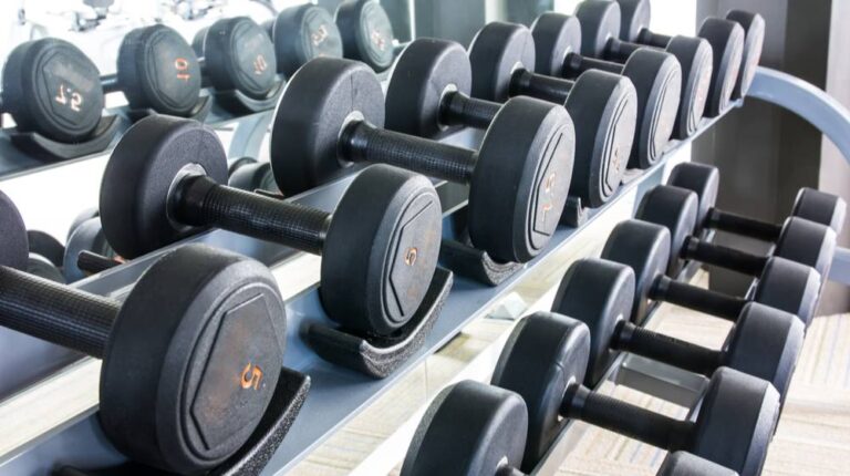 rows-dumbbell-gym | DIY Dumbbell Rack Layouts to Keep Your Weights Organized | Featured