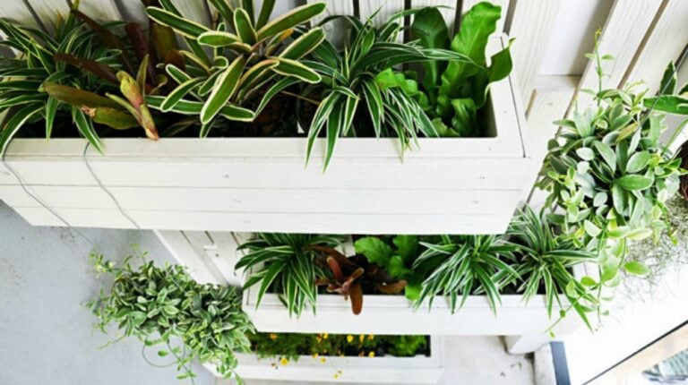 Feature | DIY Vertical Gardening Projects For Small Space Gardening | vertical garden design