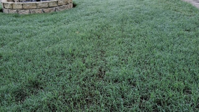 photo-46.jpg