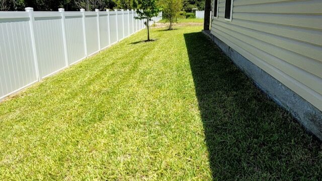 photo-803.jpg