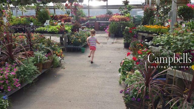 photo-810.jpg